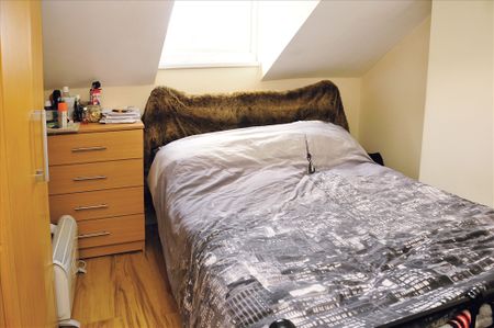 28B Stranmillis Gardens - Photo 5