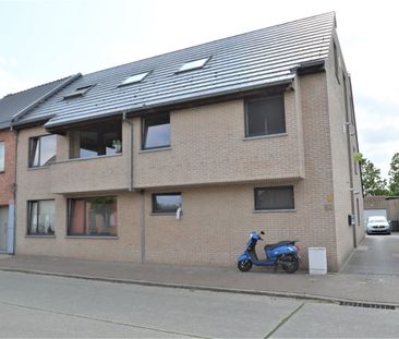 Appartement te huur in Zele - Foto 1