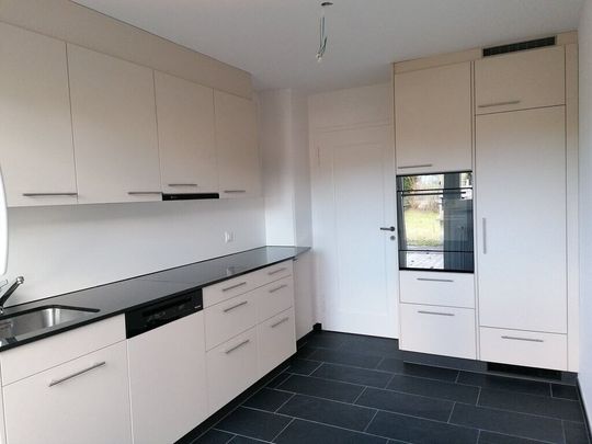 Row of single-family homes looking for a small family with a green thumb - Photo 1