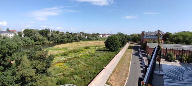 Penthouse mit Blick auf die alte Elbe! - Foto 1