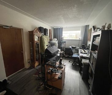 318 Yonge St, Unit 2, Kingston ON - Photo 2