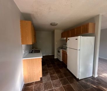 SPACIOUS 2 Bedroom APARTMENT!! GREAT LOCATION Downtown!!! - Photo 6