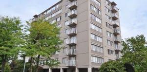 Renovated Large 1 Bedroom Suite near SkyTrain - Photo 2