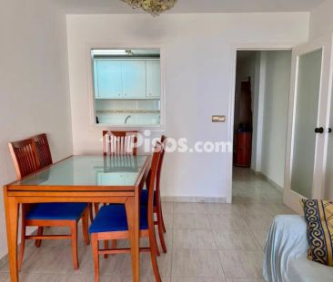 Apartamento en alquiler en El Palmeral-Urbanova-Tabarca - Photo 3