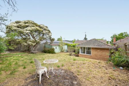 Family Living in the Balwyn High School Zone - Photo 5