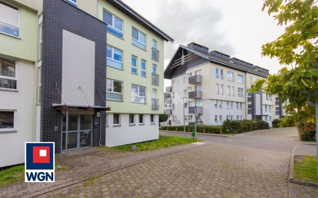 Mieszkanie na wynajem Szczecin - Ul. Belgijska 9 | Mieszkanie 3 pokoje - Photo 1