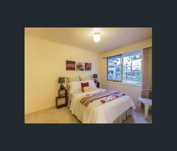 Family Haven in Prime Doncaster East School Zone - Photo 1