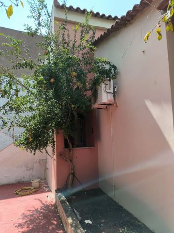 Μονοκατοικία για ενοικίαση Φύλλα (Ληλάντιο) - Photo 4