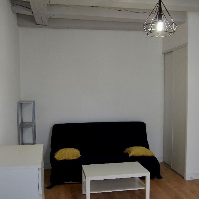 "LE CHALEUREUX" - Location Appartement tours : 22.6 m2 - Photo 1