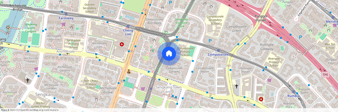 259A Compassvale Road (541259), Singapore