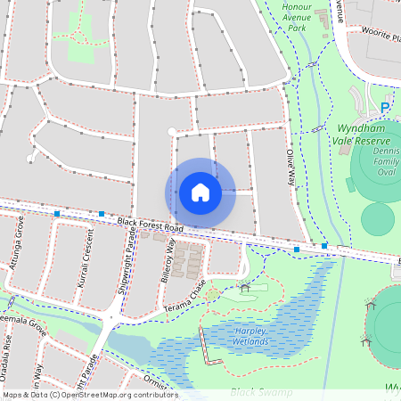 16 TOPAZ AVENEW, Vic 3024, Wyndham Vale