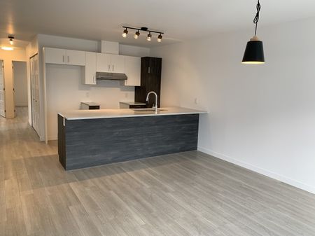 884 rue Hallée, Carré Belvédère, Sherbrooke vacant - Photo 3