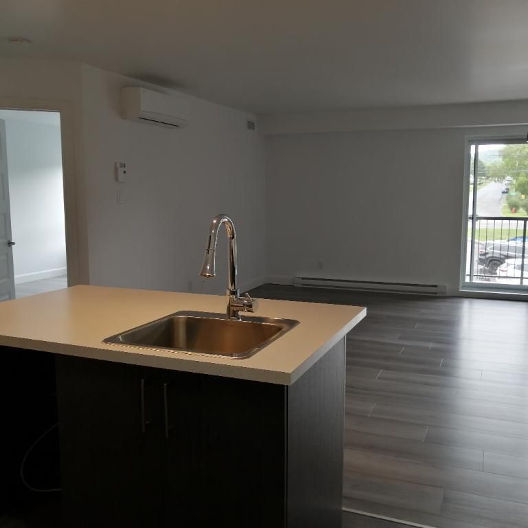 APPARTEMENT/CONDO**4 ½** 20435, Boul. Henri-Bourassa - Photo 1