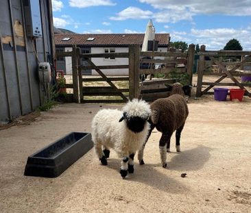 1 bedroom detached house to rent - Photo 5