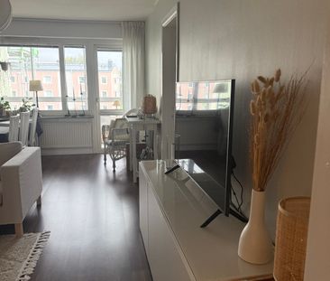 Näckrosvägen, Umeå - Foto 5