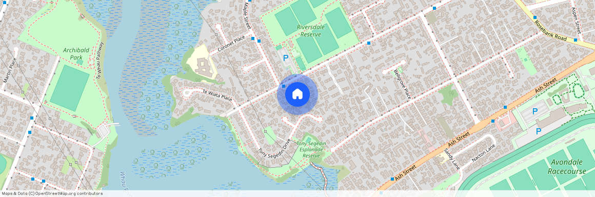 50 Tony Segedin Drive, Avondale, Auckland City