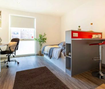 Deluxe Plus Studio - Photo 2