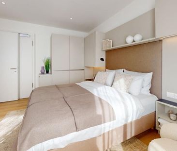 Renovated studio, close to Nations, Palexpo and Geneva airport - Photo 4