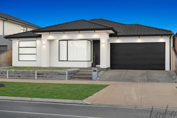 Luxury Living with Premium Finishes - Photo 1