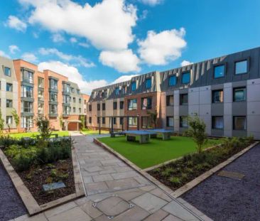 Silver Ensuite - Single Occupancy - Photo 5