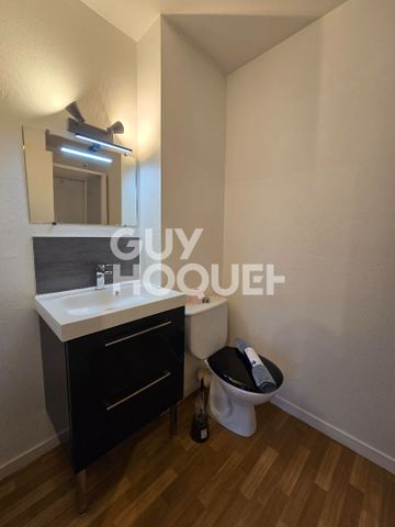 Location Appartement 1 pièce 18m² - Photo 3