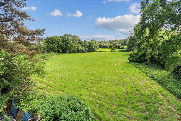 A newly renovated, 3 bedroom semi detached house with stunning views both front and rear over meadows and allotments - Photo 1