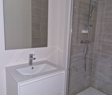 Location Appartement 3 pièces 60m² VIENNE 38200 - Photo 4