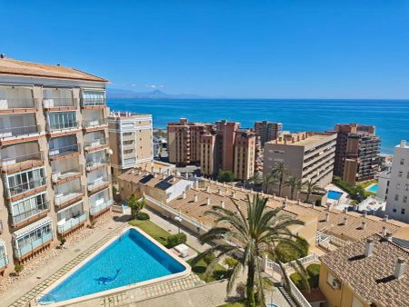Elche / Elx - Photo 5