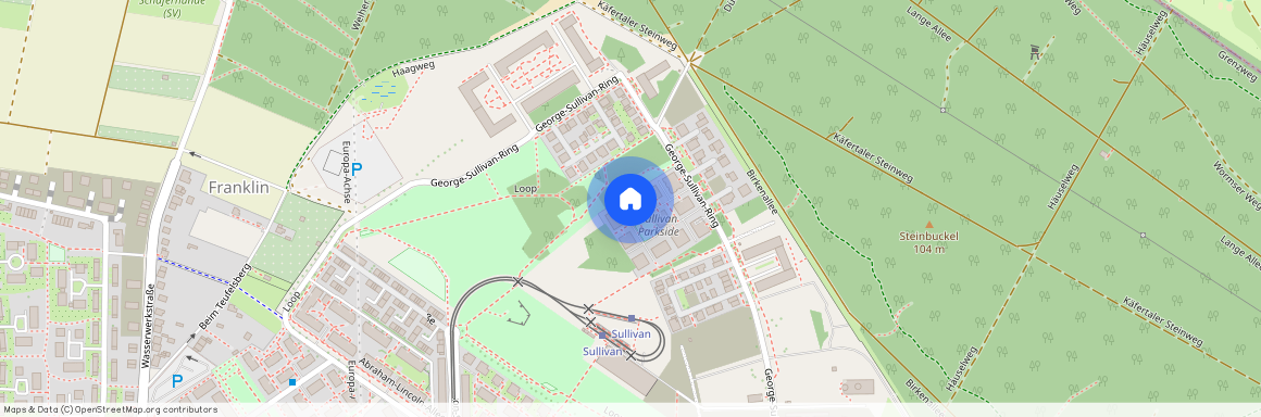 George-Sullivan-Ring 34, 68309, Mannheim