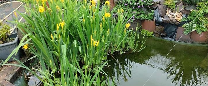 Zwei Zimmer Wohnung - Photo 1