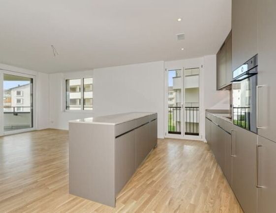 Newly built apartment in a fantastic location directly on the lake in Rapperswil-Jona - Foto 1