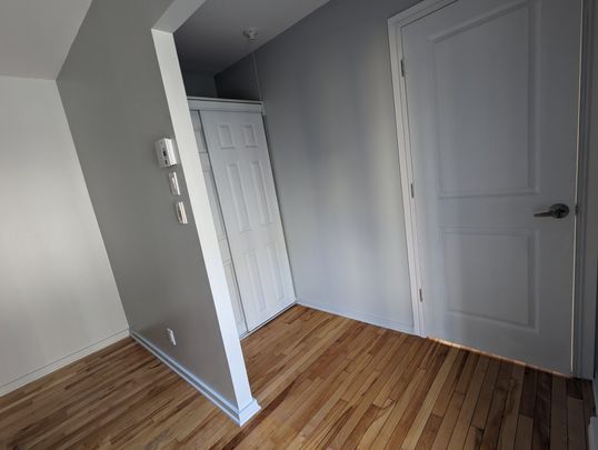 Rue Duchesneau, H1K 0G8, Montréal - Photo 1