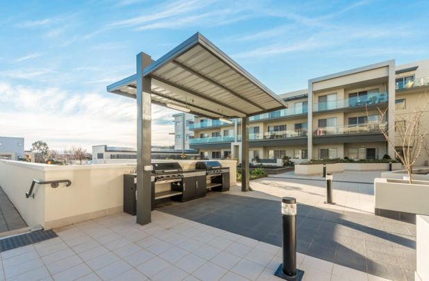 92/227 Flemington Road, Harrison ACT 2914 - House For Rent | Domain - Photo 1