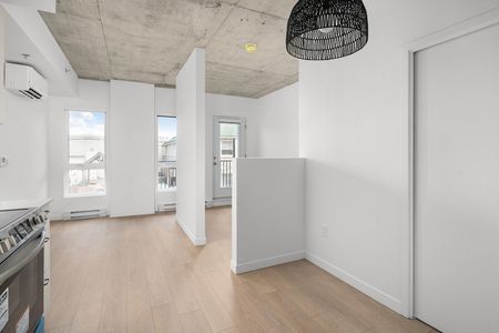 Joseph Condos for rent in Rosemont-La-Petite-Patrie - Photo 4