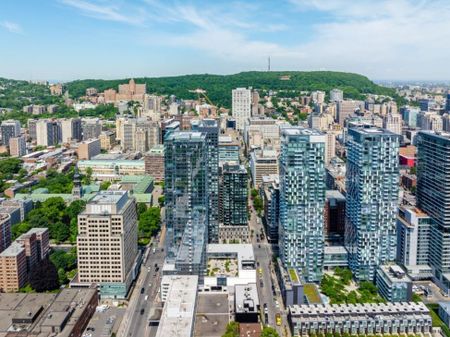 Appartement à louer - Montréal (Ville-Marie) (Centre) Appartement à louer - Montréal (Ville-Marie) (Centre) - Photo 5