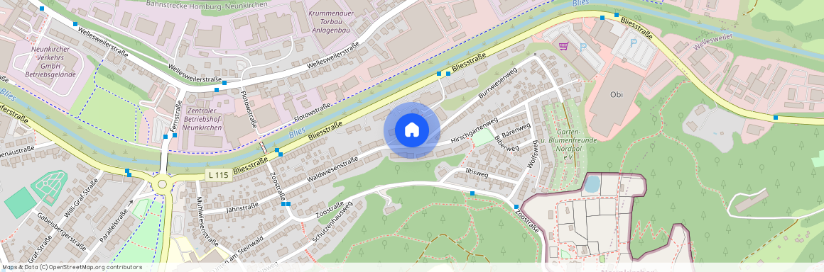 Waldwiesenstrasse 43, 66538 Neunkirchen