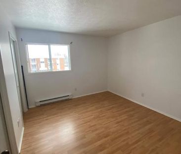 GRAND ET LUMINEUX 4.5 DISPONIBLE 1er JUILLET 2025 - Photo 2