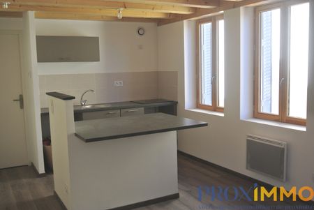 Location Appartement 1 pièce 20m² VOIRON 38500 - Photo 2