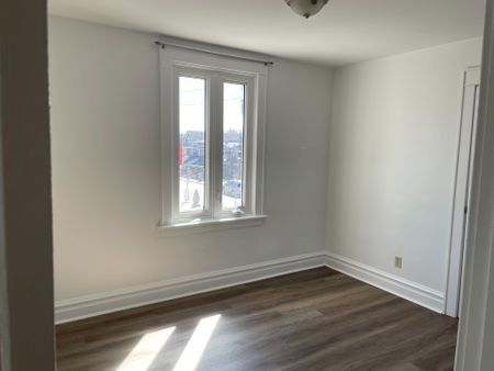 For Lease - 411B Preston Street, Dows Lake - Civic Hospital and Area, Ontario - Photo 2