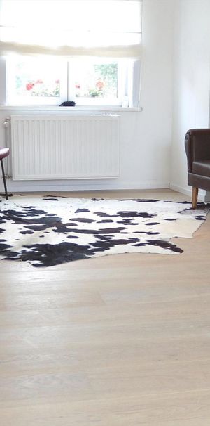 Totaalgerenoveerd appartement : geen algemene kosten - Foto 1