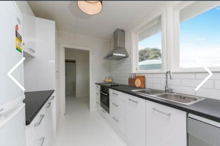 Warm house with lots of day light - Photo 3