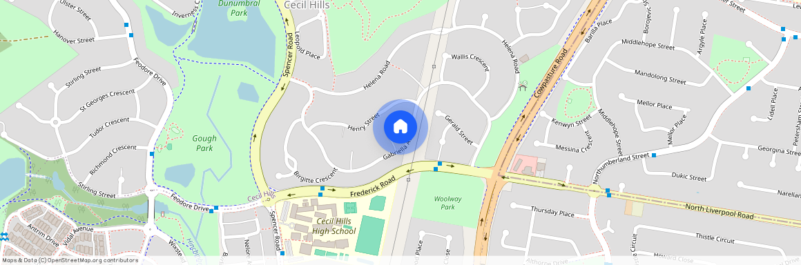 42A Gabriella Ave, NSW 2171, Cecil Hills