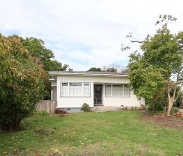 Charming Two-Bedroom Cottage for Rent in Mangapapa - Photo 4