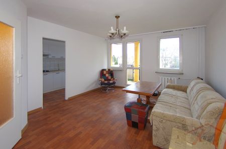 Wynajem, Gumieńce kawalerka z balkonem (437476) - Zdjęcie 5