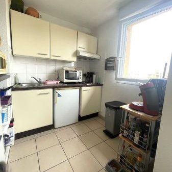 Location - Appartement - 2 pièces - 43.49 m² - montauban - Photo 1