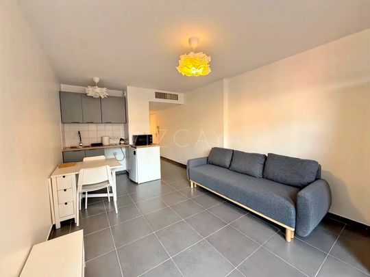 Location Appartement 1 pièce 26m² NICE 06300 - Photo 1