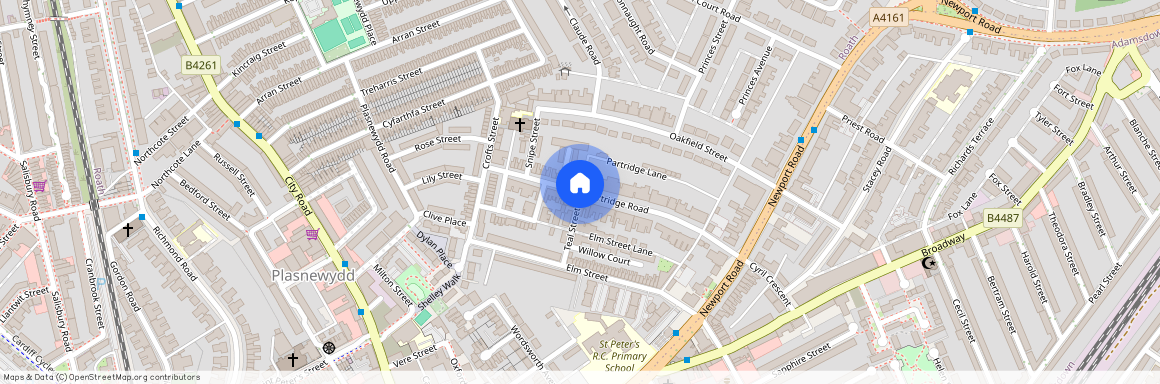 Partridge Road, Roath