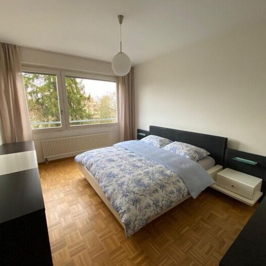 5 rooms furnished Résidence Matutina Parc Petit-Saconnex - Foto 1