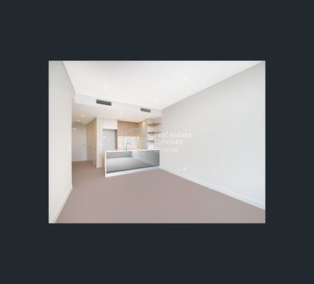616/172 Ross Street, Glebe, NSW 2037 - Photo 1