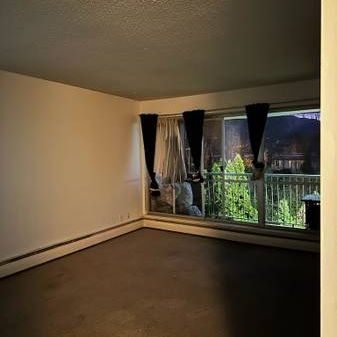 Affordable 1 bedroom, Spacious Apartment Available - Photo 4